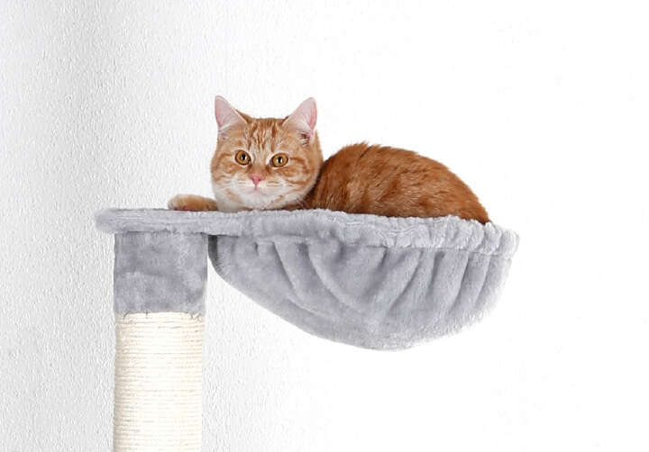 KERBL Kratzbaum Square